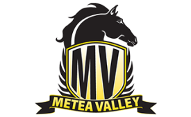 Metea Valley
