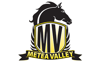 Metea Valley